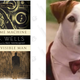 Image for article titled Classic Books I Only Care About Because a Jack Russell Terrier Told Me To